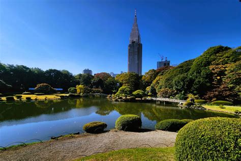 The Shinjuku Gyoen National Garden: A Serene Oasis of Beauty and Tranquility!