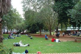 Joubert Park - A Lush Oasis for Picnics and Reflection in Johannesburg!