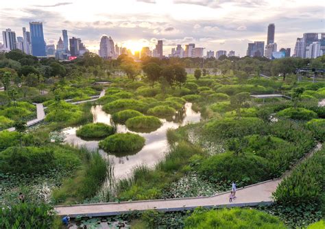 The Longwangmiao Ecological Park: A Green Oasis of Serenity and Biodiversity!