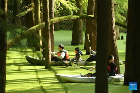  The Exquisite Beauty of the Qingshan Lake Scenic Area: Where Lush Landscapes Meet Serene Waters!