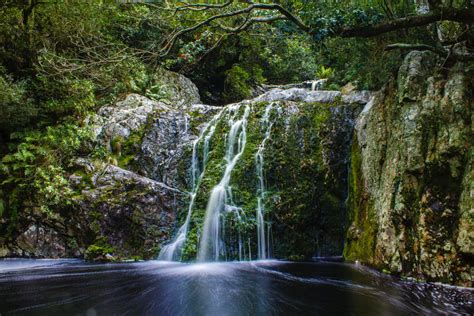 The Harold Porter Botanical Garden: Where Nature Dances and Colors Sing!